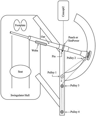 Concurrent Validity of Power From Three On-Water Rowing Instrumentation Systems and a Concept2 Ergometer